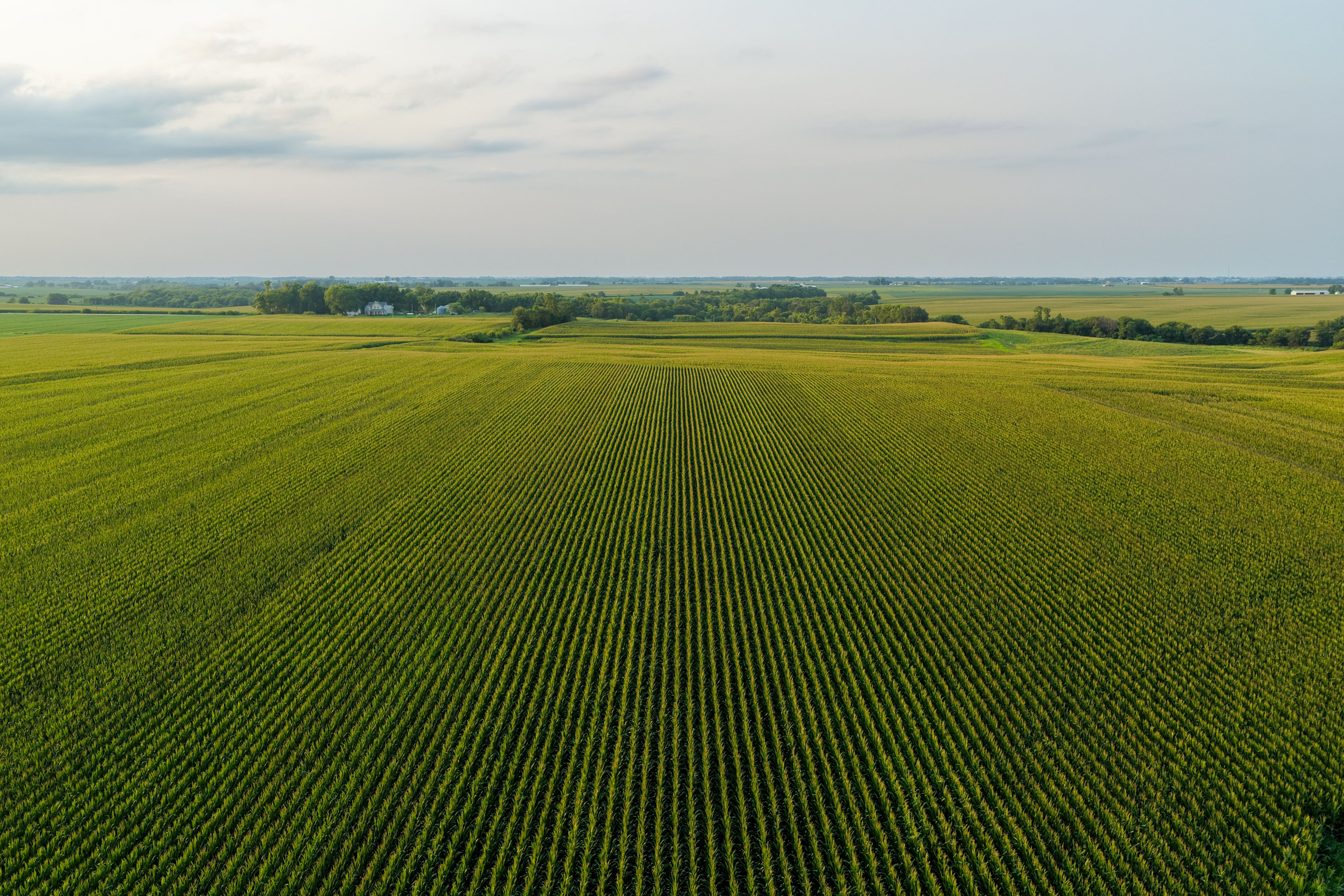 Listing Photo: Land for Sale Johnson County Iowa-4